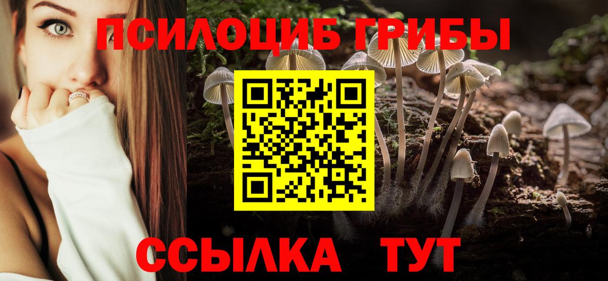 Галлюциногенные грибы Psilocybe Александров