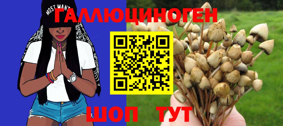 Александров  Галлюциногенные грибы Magic Shrooms  Вход с VPN 